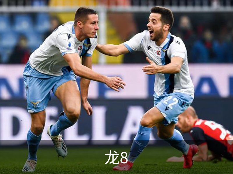 关于龙8
