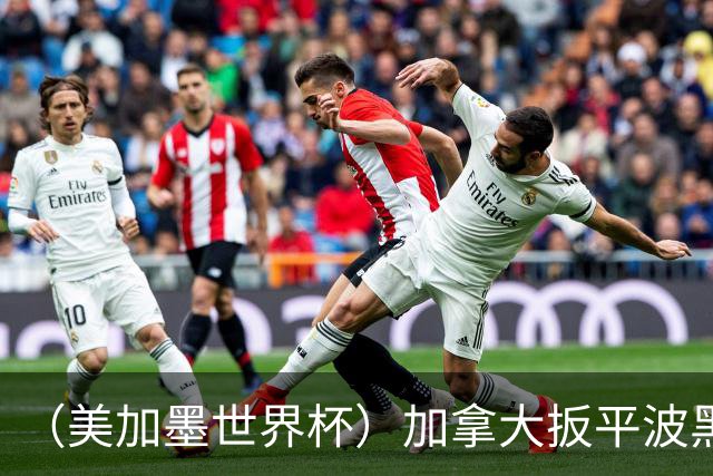 （美加墨世界杯）加拿大扳平波黑 获队史世界杯首分
